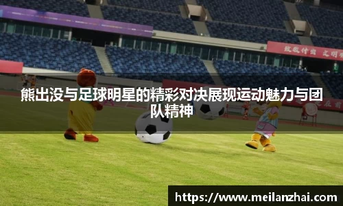 熊出没与足球明星的精彩对决展现运动魅力与团队精神